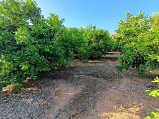 Terreno en venta en Calicanto - Cumbres de Calicanto - Santo Domingo en Torrent
