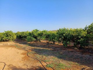 Terreno en venta en Calicanto - Cumbres de Calicanto - Santo Domingo en Torrent