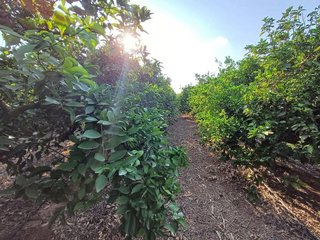 Terreno en venta en Calicanto - Cumbres de Calicanto - Santo Domingo en Torrent