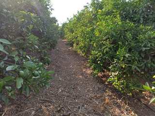 Terreno en venta en Calicanto - Cumbres de Calicanto - Santo Domingo en Torrent