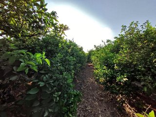 Terreno en venta en Calicanto - Cumbres de Calicanto - Santo Domingo en Torrent