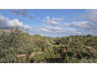Terreno en venta en Gata de Gorgos
