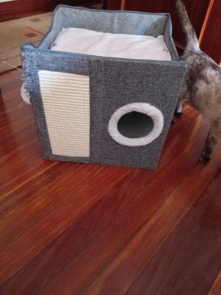 Casita para gato gris y blanco