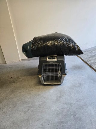 Transportín perro número 6 perros grades