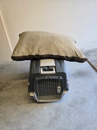 Transportín perro número 6 perros grades
