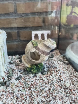 Pecera 60L con decoración estilo romano