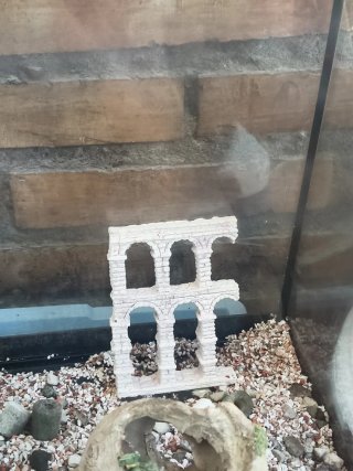 Pecera 60L con decoración estilo romano
