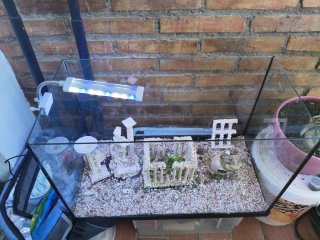 Pecera 60L con decoración estilo romano