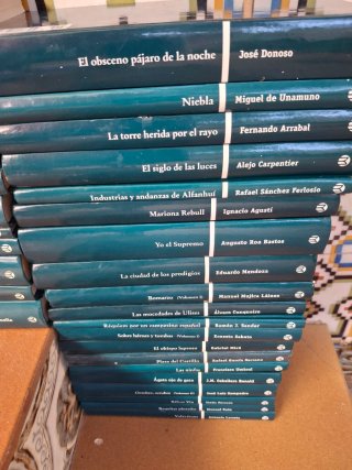 Lote 31 Novelas Clásicas - Varios Autores