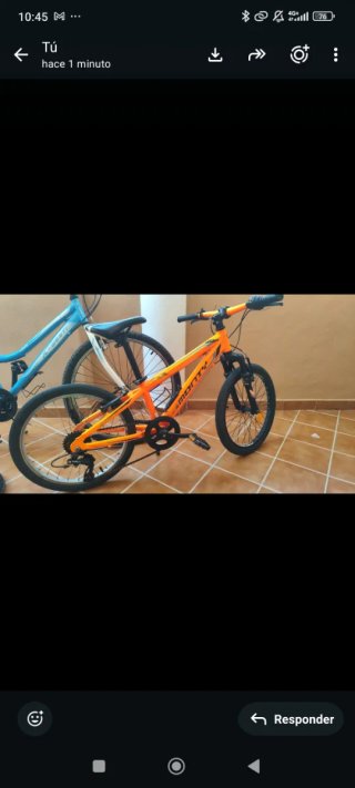 Bicicleta Infantil Monty 20