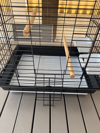 Jaula para loro