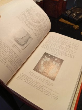 Libro de traumatología