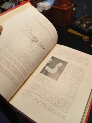 Libro de traumatología