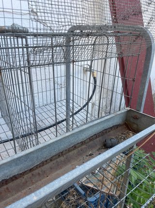 Jaula para gallinas metálica