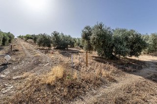 Terreno en venta en Montefrío