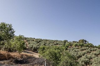 Terreno en venta en Montefrío