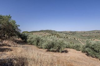 Terreno en venta en Montefrío