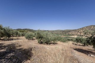Terreno en venta en Montefrío