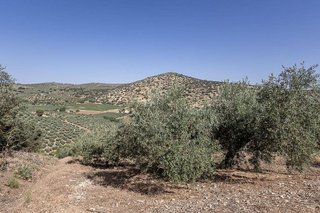 Terreno en venta en Montefrío