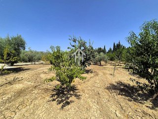 Terreno en venta en Huétor Tájar