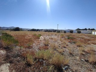 Terreno en venta en Monforte del Cid