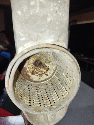 Molinillo de frutos secos