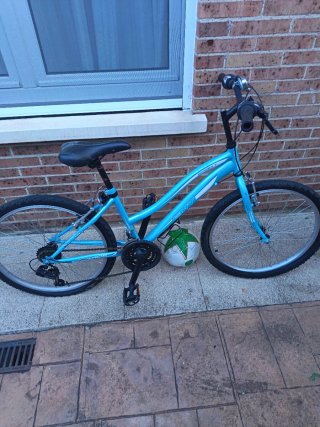 Bicicleta infantil azul