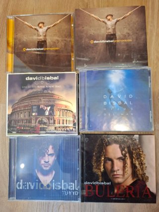 Lote 6 CDs David Bisbal: Premonición, Bulería...