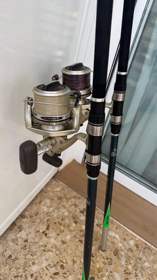 2 Canne da Pesca Shimano con Mulinelli