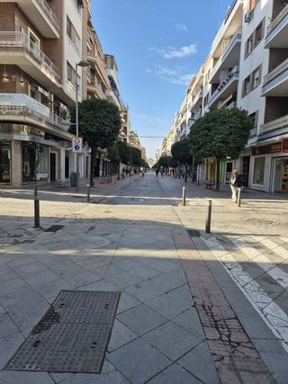 Local comercial en alquiler en Los Remedios en Sevilla