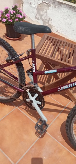 Bicicleta de Montaña America