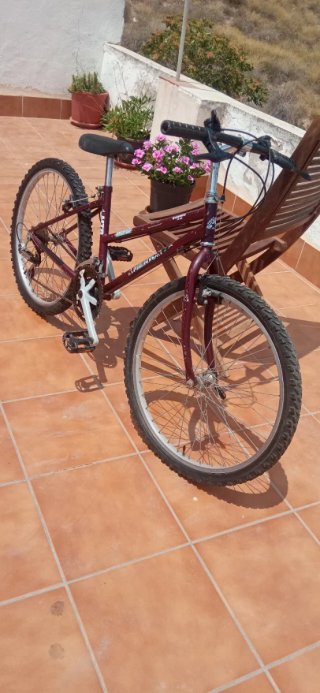 Bicicleta de Montaña America