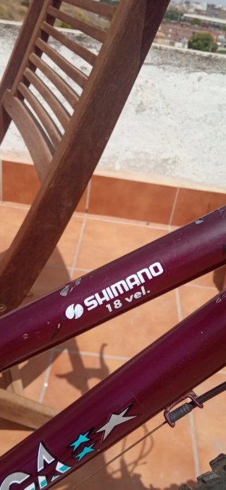 Bicicleta de Montaña America