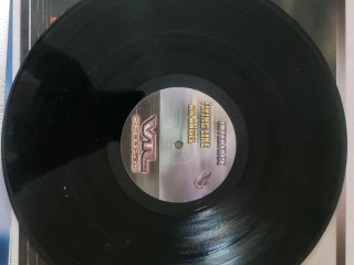 Vinilo Flying like an Angel