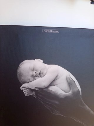 Cuadros Decorativos Anne Geddes,  Lote 4 cuadros