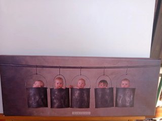 Cuadros Decorativos Anne Geddes,  Lote 4 cuadros