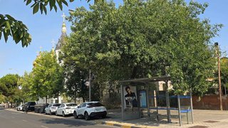 Solar en venta en Canillas en Madrid