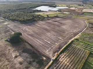 Terreno en venta en Rociana del Condado