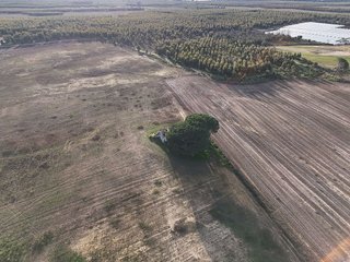 Terreno en venta en Rociana del Condado
