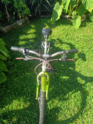 Bicicleta Niña/Mujer Verde