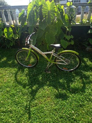 Bicicleta Niña/Mujer Verde