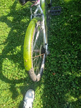 Bicicleta Niña/Mujer Verde