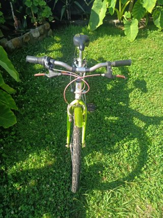 Bicicleta Niña/Mujer Verde