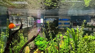 Local comercial en venta en La Cogullada en Terrassa
