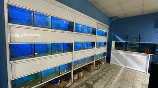 Local comercial en venta en La Cogullada en Terrassa