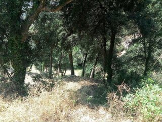 Terreno en venta en Dosrius
