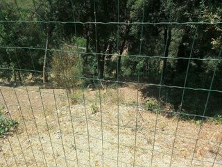Terreno en venta en Dosrius