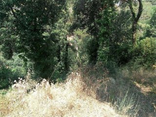 Terreno en venta en Dosrius