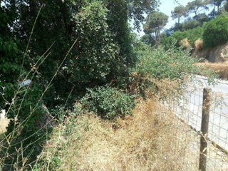 Terreno en venta en Dosrius