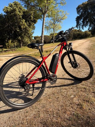 Bicicleta Eléctrica Roja